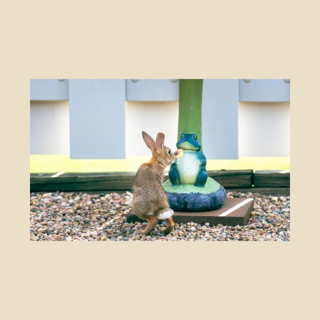 Some Bunny Loves Flowers by Debra Martz by Debra Martz