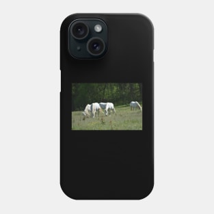 Wild Horses Phone Case