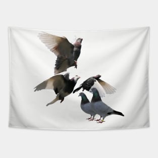 Pigeons Tapestry