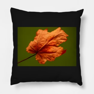 Dried Autumn Maple Leaf Pillow