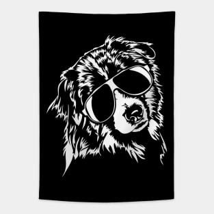 Funny Australian Shepherd sunglasses cool Aussie dog Tapestry