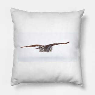 Low Flyer - Great Grey Owl Pillow