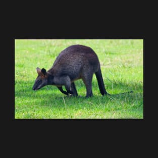 Wallaby on the Hop! T-Shirt