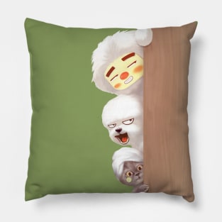 Peeking Pillow