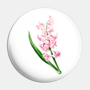 Pink Hyacinth - Botanical Illustration Pin