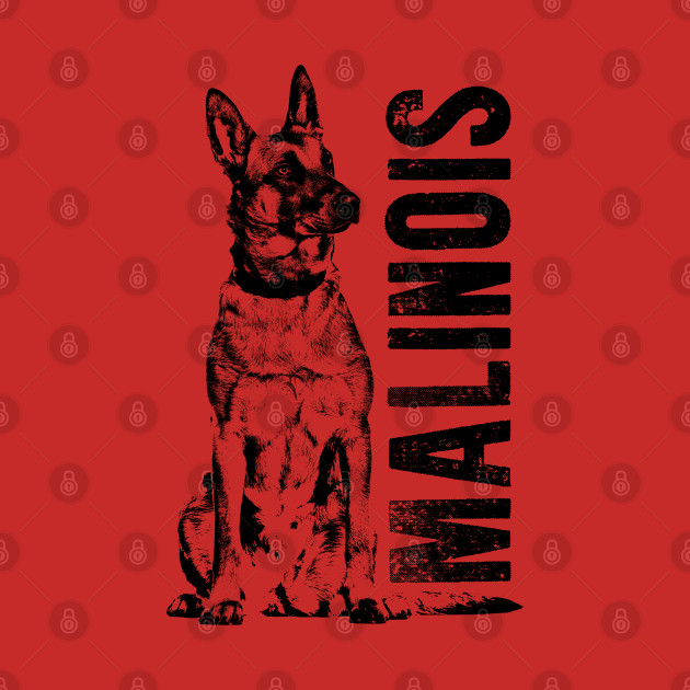 Disover Malinois - Belgian shepherd - Mechelaar - Malinois - T-Shirt