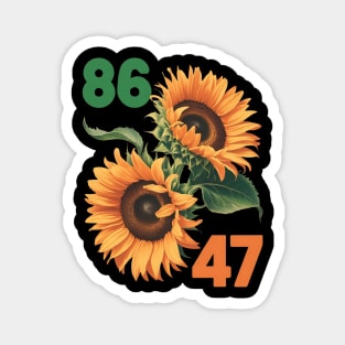 8647 Magnet