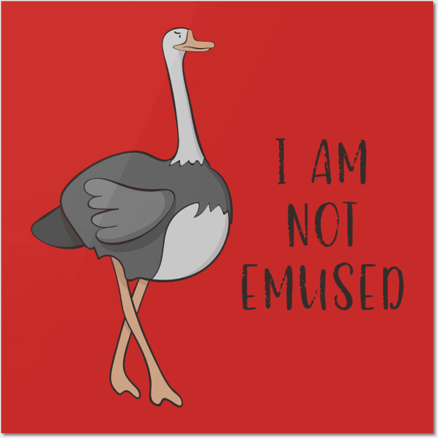 I Am Not Emused Funny Emu Joke Pun Amused T Shirt I Am Not Emused Funny Emu Joke Pun Amused T Shirt