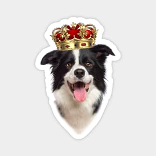 Border Collie Royal Dog With Crown King Magnet