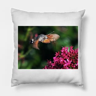 THE PANASONIC FZ 200 PAR OKAIO CREATION Pillow