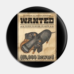 Funny Cute Doxie Dachshund Dog Wanted Poster Pin