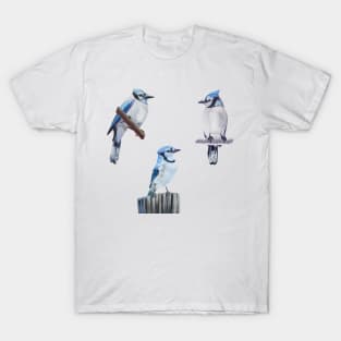 Blue Jays Funny T-Shirts for Sale