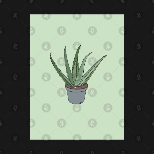 Aloe Plant by abbeyrpenn