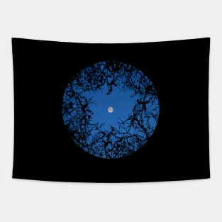 Moon circle Tapestry