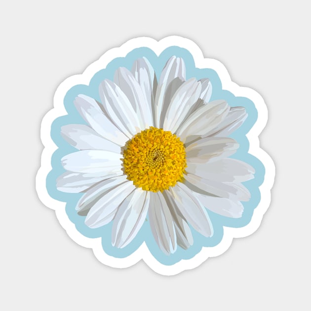 White marguerite blossom on light blue Magnet by A_using_colors