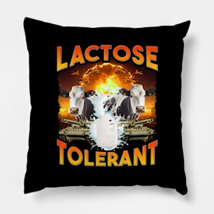 Lactose Tolerant Pillow