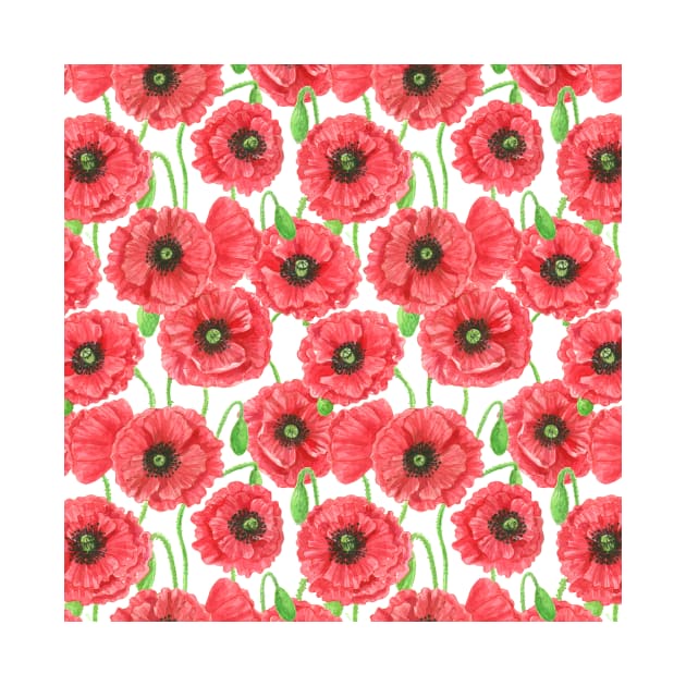 Watercolor poppies floral pattern by katerinamk