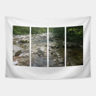 A static shot of the clear water of a mountain stream between rocks and stones; beautiful nature in a sunny day; no people around Tapestry