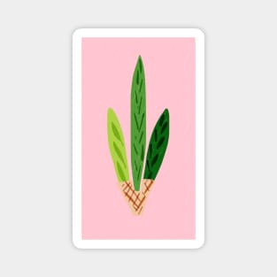 Lulav Pink Print Magnet