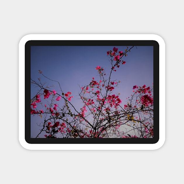 Beautiful summer pink flowers Magnet by hi-special