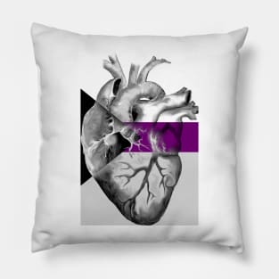 Demisexual Pride Anatomic Heart Pillow