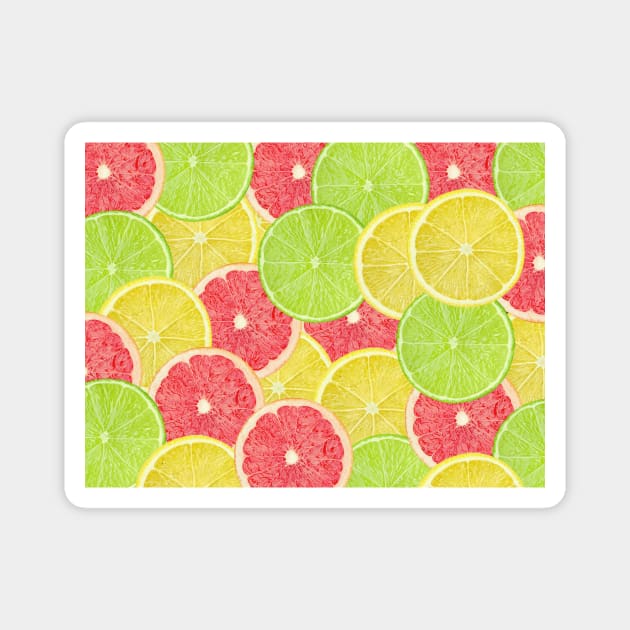 Colorful citrus slices Magnet by GroovyArt