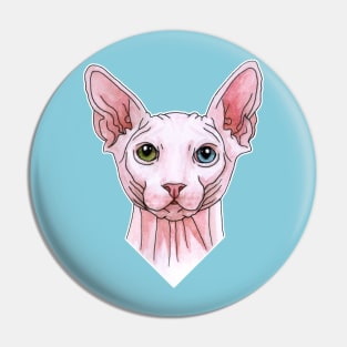 Sphynx cat portrait Pin