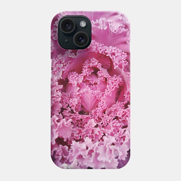 Wild Cabbage - Brassica Oleracea Phone Case by area-design