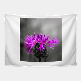 Purple flower over black and white Tapestry