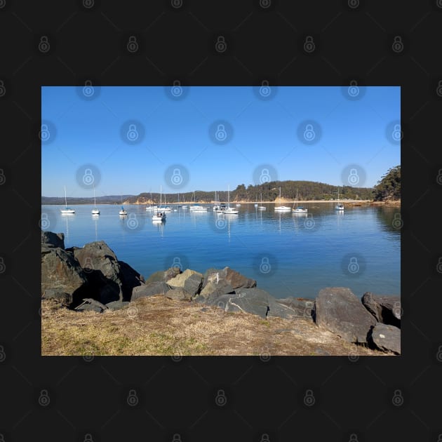 Yachts moored in Quarantine Bay, Eden, NSW by Kirkcov