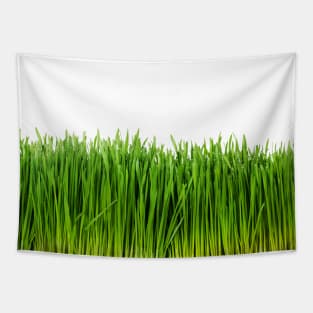 Fresh green grass Tapestry