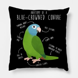 Blue-Crowned Conure Parrot Anatomy Pillow