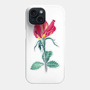 Red rose Phone Case