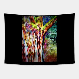 Tree Trunk at Night Tapestry