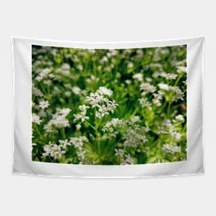 Tender woodruff flower Tapestry