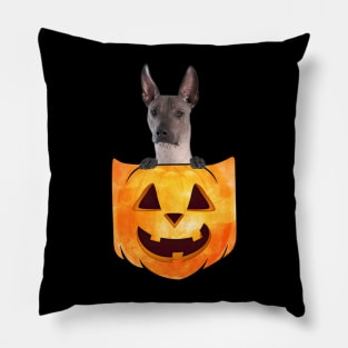 Xoloitzcuintli Dog In Pumpkin Pocket Halloween Pillow