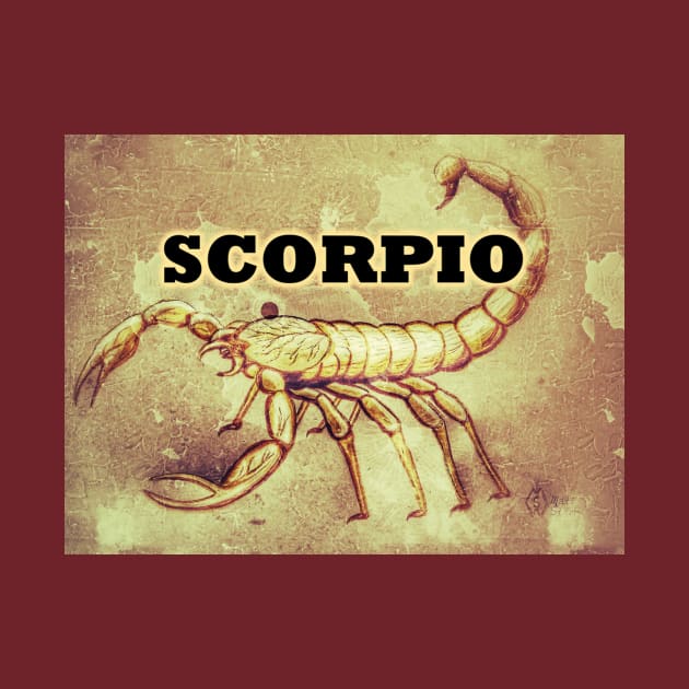 Scorpio Zodiac sign by Matt Starr Fine Art