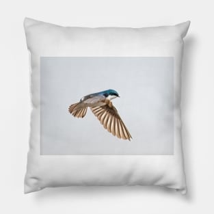 Tree Swallow Flight Pillow