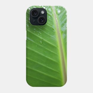 Green banana leaf vein with raindrops Phone Case