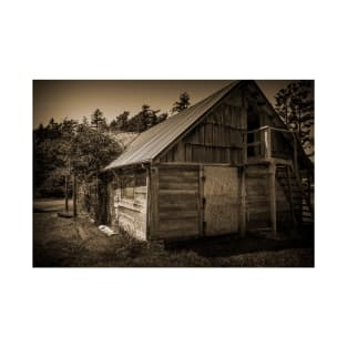 Storage Shed In Sepia T-Shirt