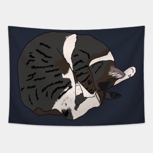 Sleeping cat Tapestry