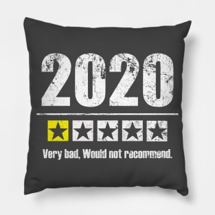 Vintage 2020 Year Review Pillow