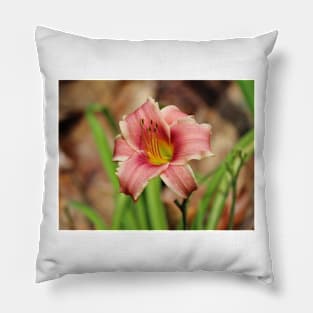 Lily Beauty Pillow