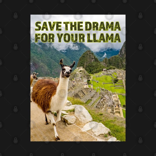 Save the Drama for your Llama at Machu Picchu by FrogAndToadsWorkshop