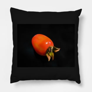 The Persimmon Pillow