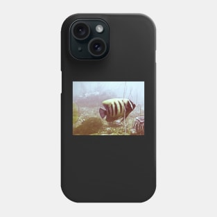 SIX BANDED ANGELFISH Phone Case