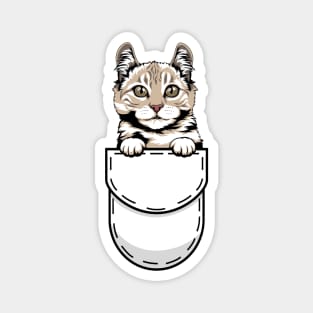 Funny American Curl Pocket Cat Magnet