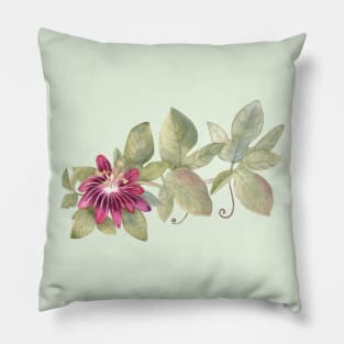 Passiflora watercolor illustration Pillow