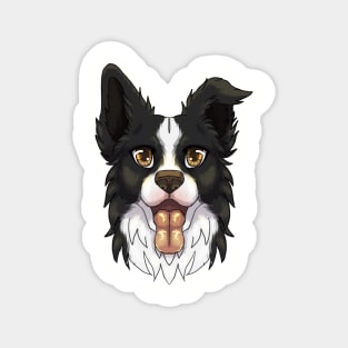 Black Border Collie Magnet