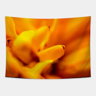 Flower bloom in macro Tapestry